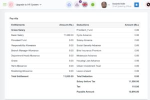 Example of payslips in payroll management system