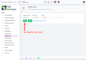leave entitlement in attendance system